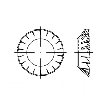 Шайба 10,5 стопорная, с наружными зубьями, сталь нержавеющая 1.4310 DIN 6798