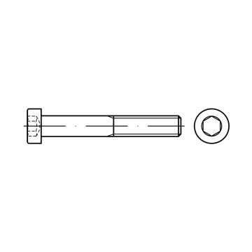 Винт 10х20 цилиндр внутренний шестигранник, сталь 8.8 DIN 7984