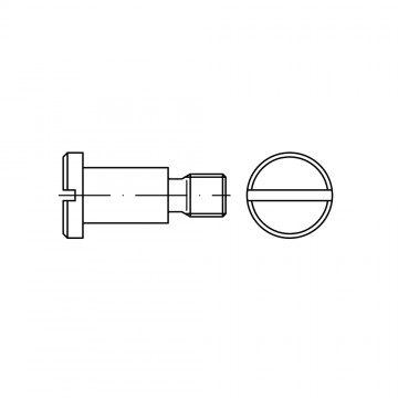 Винт 6х10 ступенчатый установочный, сталь 4.8 DIN 923