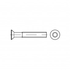 DIN 965 Винт М2* 4 с потайной головкой TORX, сталь нержавеющая А4