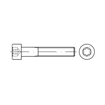 Винт 8х25 цилиндр TORX, сталь 8.8, цинк ISO 14579