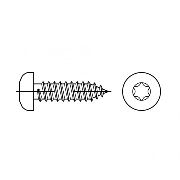 Саморез 3,5х13 с округленной головкой TORX, сталь, цинк ISO 14585