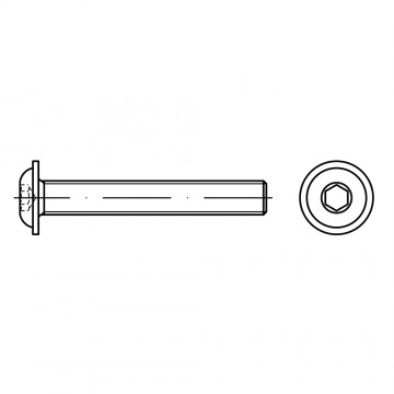 Винт 10х20 полукруг внутренний шестигранник, сталь 10.9 ISO 7380-2