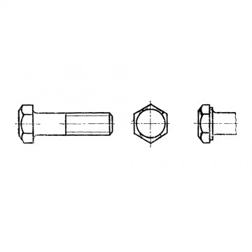 Болт М10-6gх300.88.099 ГОСТ 7805-70